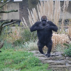 London Zoo 17/04/09