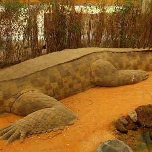 La ferme aux crocodiles - Sarcosuchus panorama