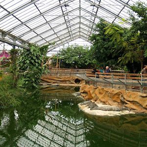 La ferme aux crocodiles - Nile crocs panorama