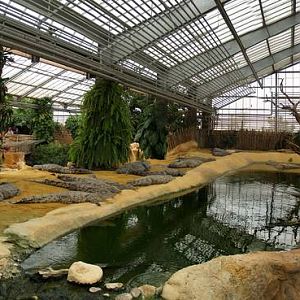 La ferme aux crocodiles - Nile crocs panorama