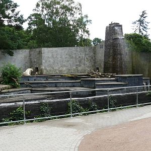 Rostock Zoo - July 2007.