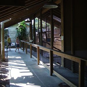 Monkey and Otter Enclosures