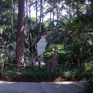 View of the Zoo
