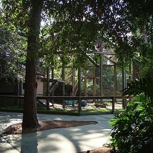 Cougar Enclosure