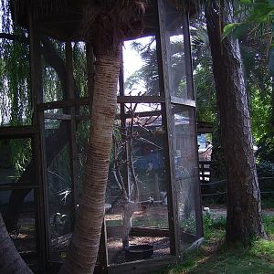 Bird Enclosure