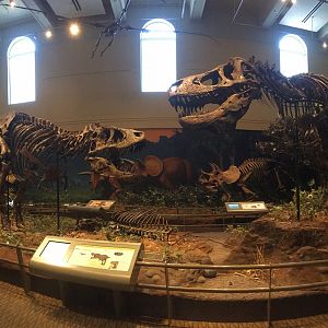 Dinosaurs In Their Time Battling T-Rexes