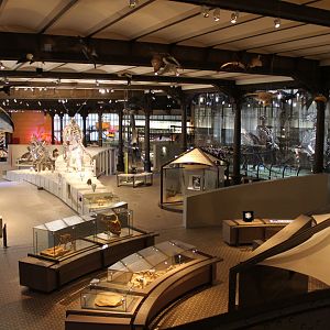 View into the Museum