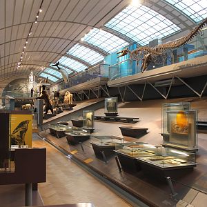 View into the Museum