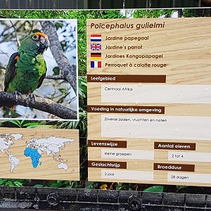Jardine parrot-sign