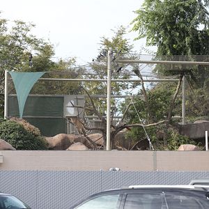 backside of primate exhibit