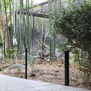 exhibit refurbished for red panda