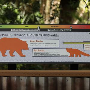 red panda educational graphics