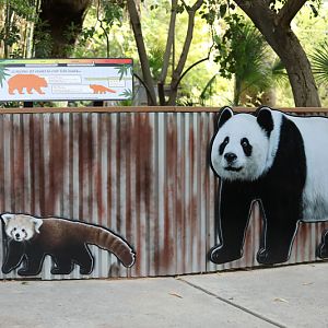 red panda educational graphics