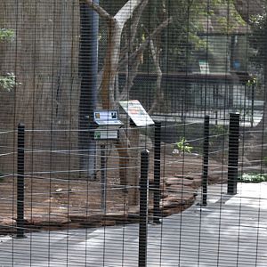 exhibit refurbished for red panda