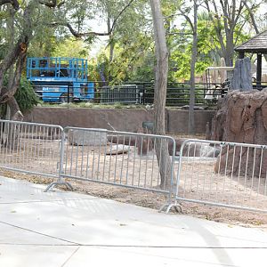 upcoming alligator exhibit