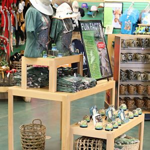 alligator souvenirs in gift shop