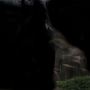 My First Photo Editing Attempt