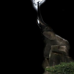 My First Photo Editing Attempt (Take 2)