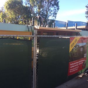 New Komodo Dragon exhibit