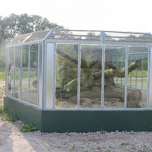 Dark cusimanse-enclosure