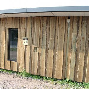 Dark cusimanse indoor-enclosure