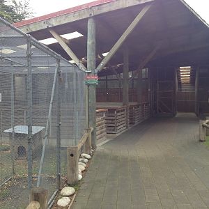 Rabbit enclosures