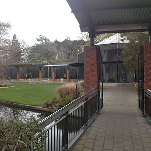 Aviary entrance area