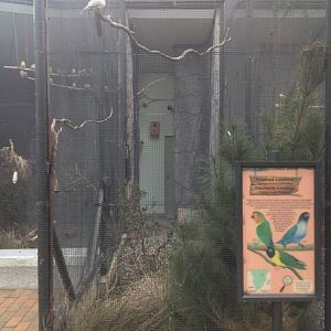 Masked & Fischer's Lovebird exhibit