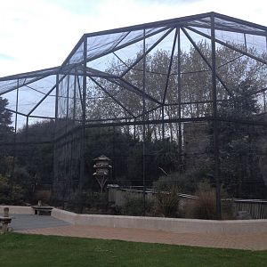 Walk-through aviary