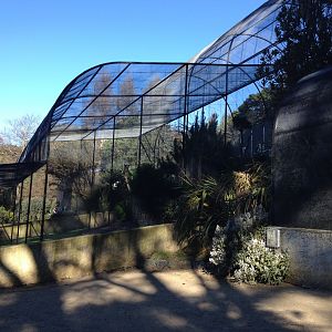 Mixed species aviary