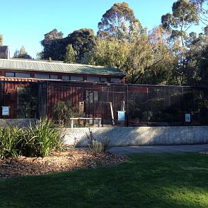 Middle Level aviaries