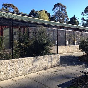 Middle Level aviaries