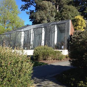 Upper Level aviaries