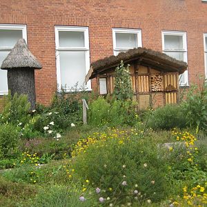 Museum für Natur und Umwelt - "Immengarten"