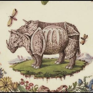 King Louis 15th's Rhinoceros - YouTube