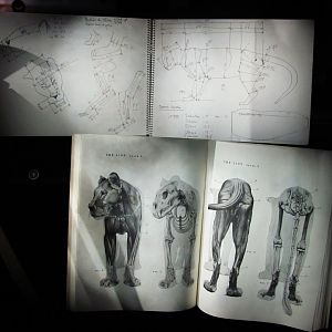 How To Mount A Leopard Part 1