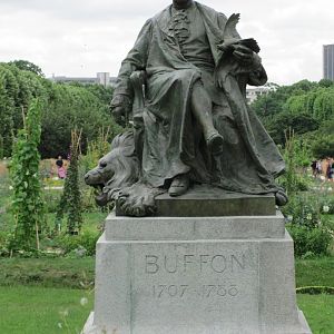 Statue Of Buffon