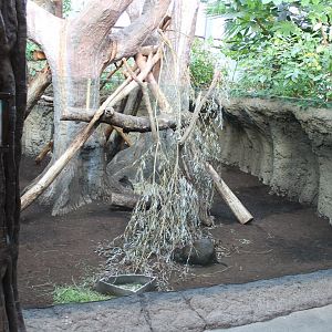 Cuban hutia-enclosure