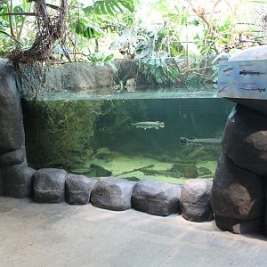 American freshwater tank