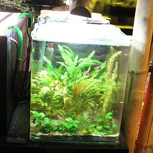 Small aquarium