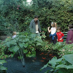 London Butterfly House 2005