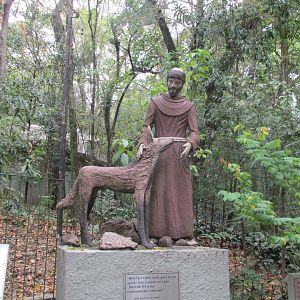 saint francis and brother wolf