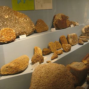 Museum für Natur und Umwelt - Geological display