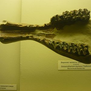 Zaisanotherium borisovi jaw fragment (cast)