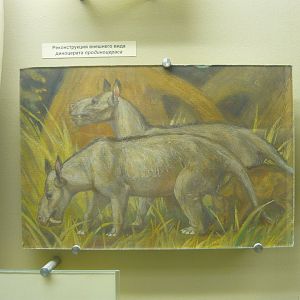 Prodinoceras reconstruction