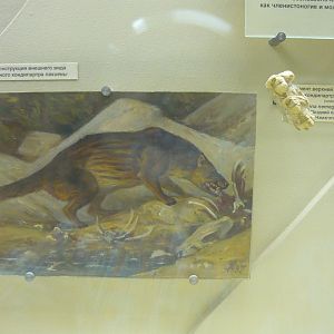 Pachyaena nemegetica jaw fragment and reconstruction