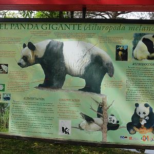 Zoo Aquarium de Madrid 1.10.17