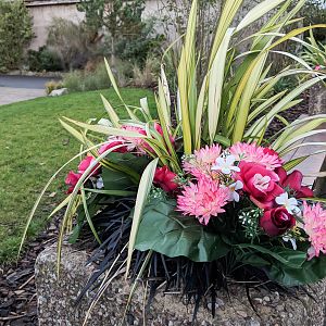 Fountain Lawns Flowers