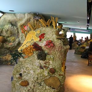 Fake-coral in Coral room