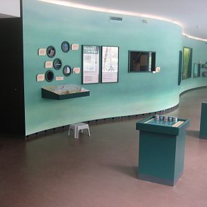Museum für Natur und Umwelt - General view of second floor